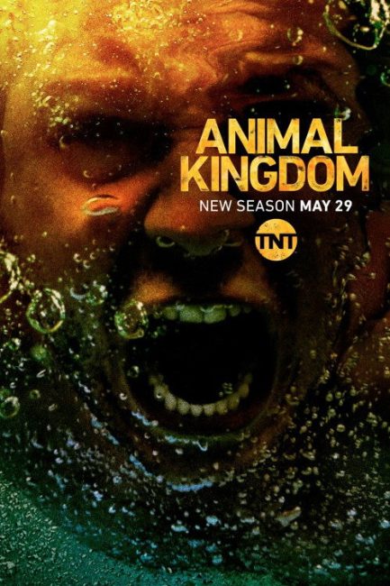 مسلسل Animal Kingdom الموسم الثالث الحلقة 2 مترجمة