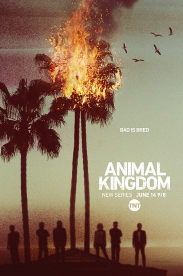 مسلسل Animal Kingdom مترجم